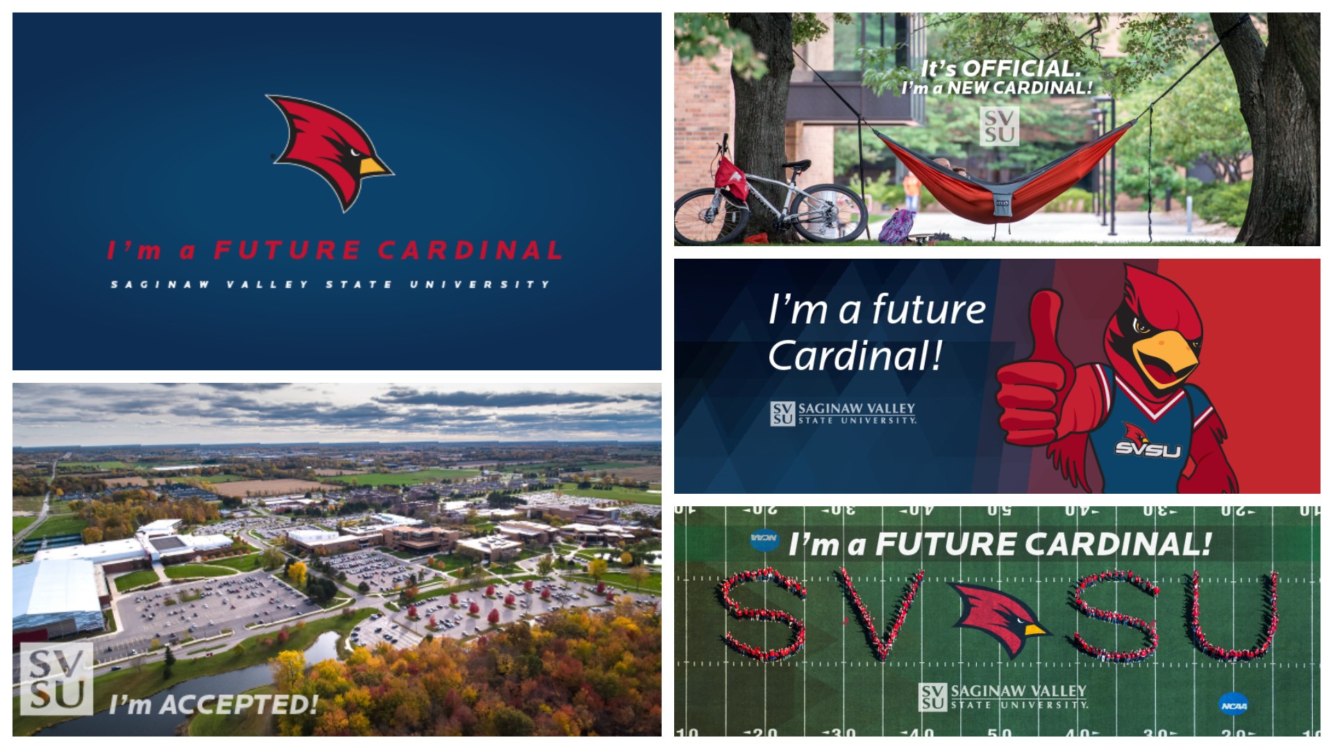 Examples of admitted student cover images for social media